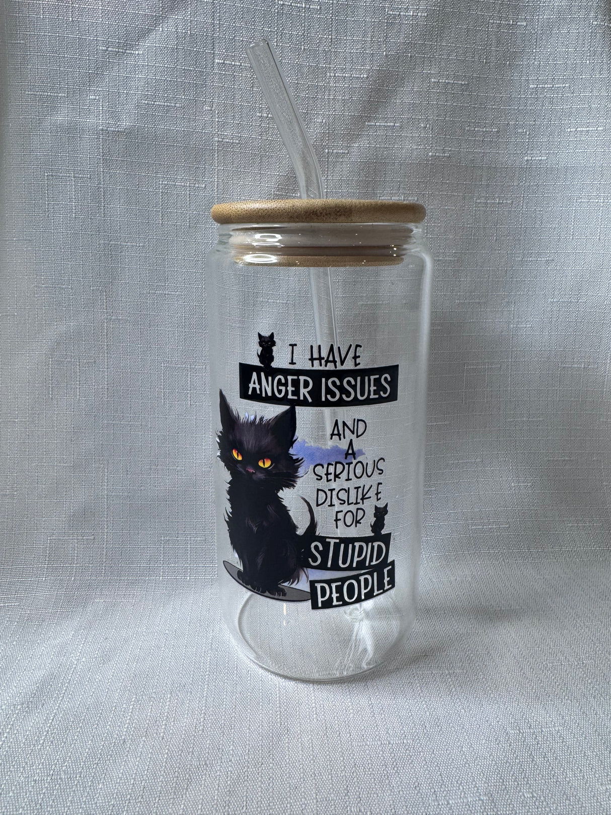 CAT ANGER ISSUES STUPID PEOPLE GLASS JAR TUMBLER CUP WITH LID, STRAW AND BRUSH