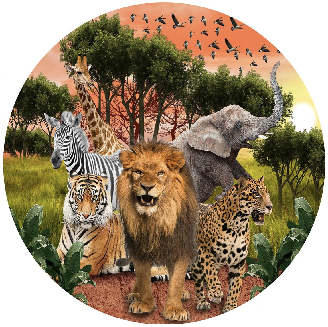JUNGLE SAFARI BANNER ANIMALS LION ZEBRA CHEETAH GIRAFFE ROUND BIRTHDAY BACKDROP