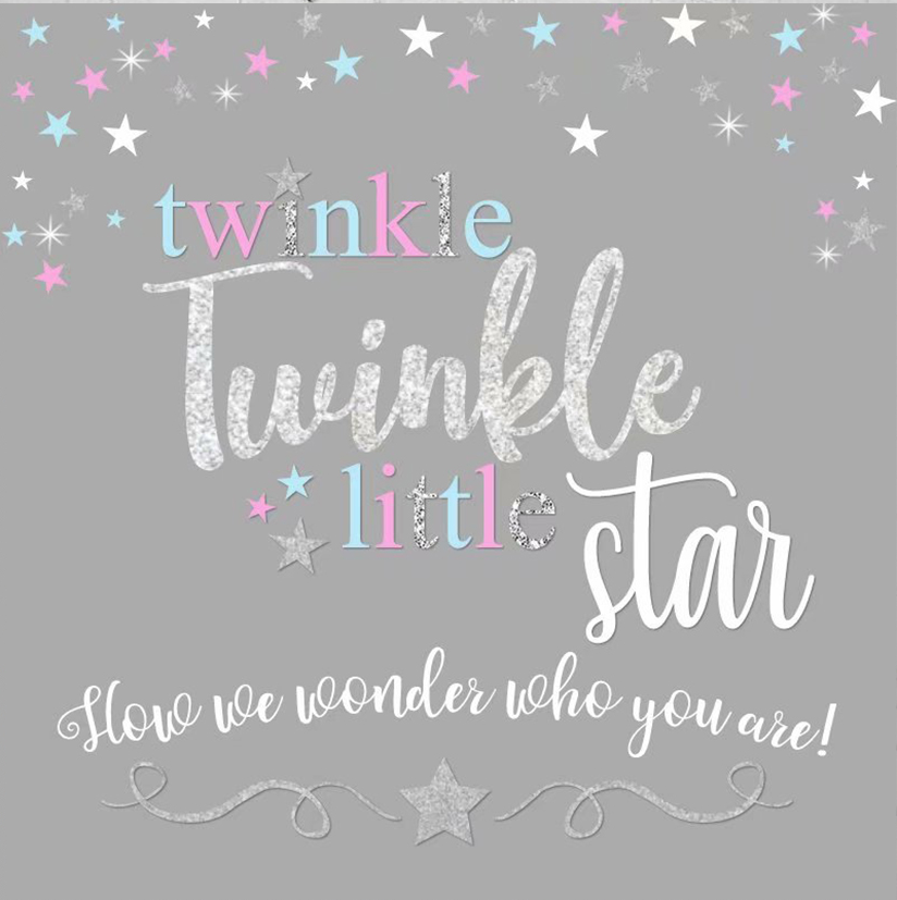 TWINKLE LITTLE STAR GREY BABY SHOWER PARTY BANNER BACKDROP DECORATION