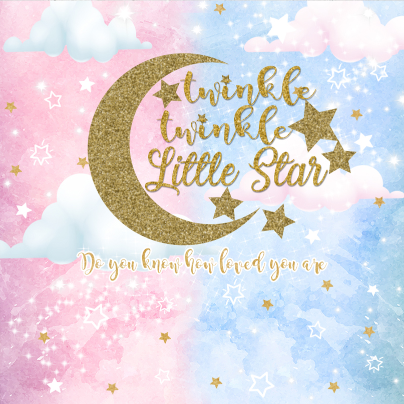 TWINKLE LITTLE STAR BLUE PINK BABY SHOWER PARTY BANNER BACKDROP DECORATION