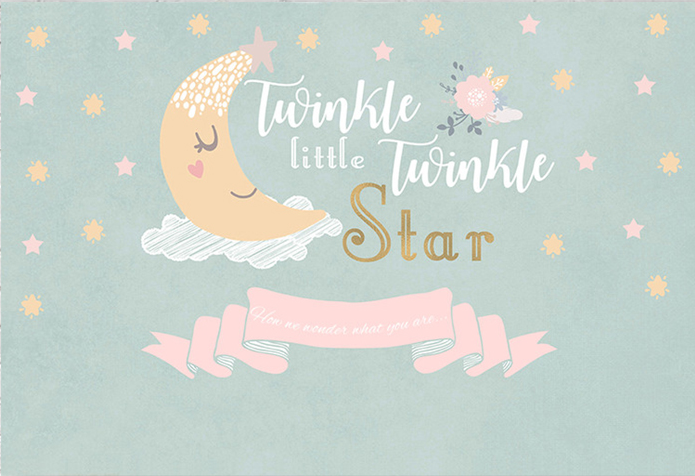 TWINKLE LITTLE STAR MOON BABY SHOWER PARTY BANNER BACKDROP DECORATION