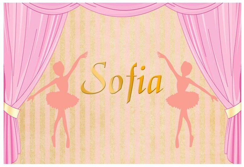 BALLERINA BALLET DANCE PINK CURTAINS BIRTHDAY PARTY BANNER BACKDROP DECORATION