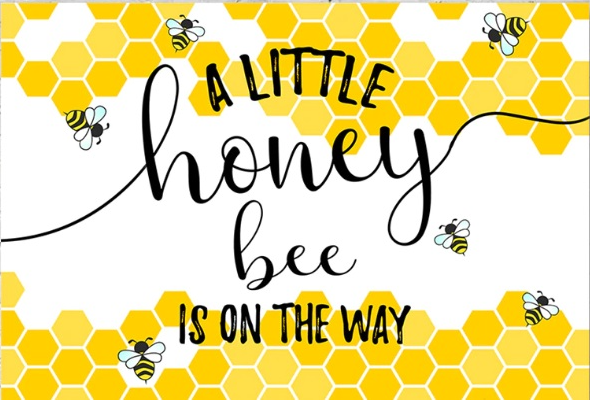 BEE SWEET LITTLE HONEY BABY SHOWER PARTY BANNER BACKDROP DECORATION