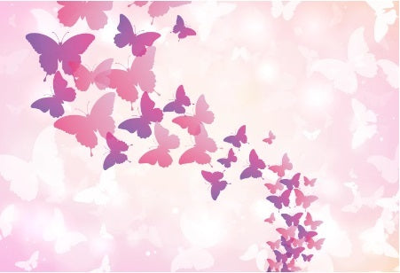 BUTTERFLIES PINK PURPLE PERSONALISED BIRTHDAY PARTY BANNER BACKDROP DECORATION