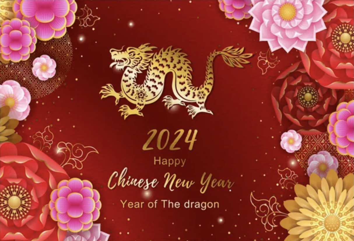 CHINESE NEW YEAR DRAGON FESTIVAL PARTY BANNER BACKDROP DECORATION