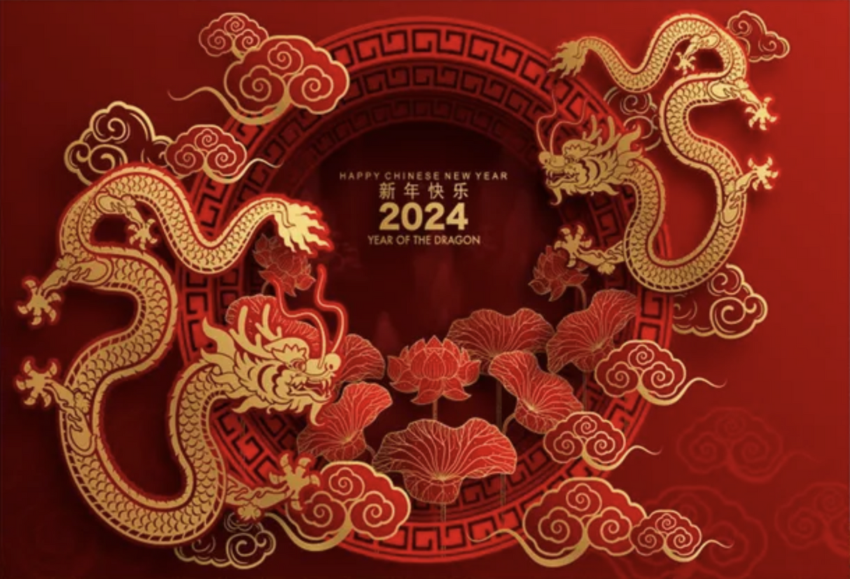 CHINESE NEW YEAR RED DRAGON FESTIVAL PARTY BANNER BACKDROP DECORATION