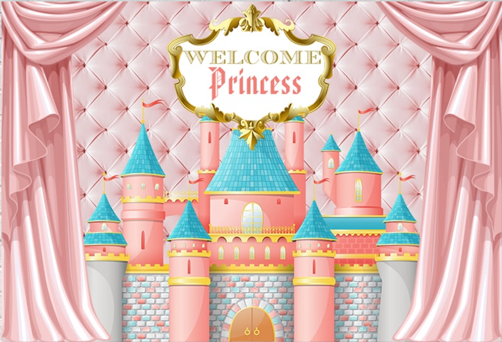PRINCESS CASTLE PINK PERSONALISED BIRTHDAY PARTY BANNER BACKDROP DECORATION