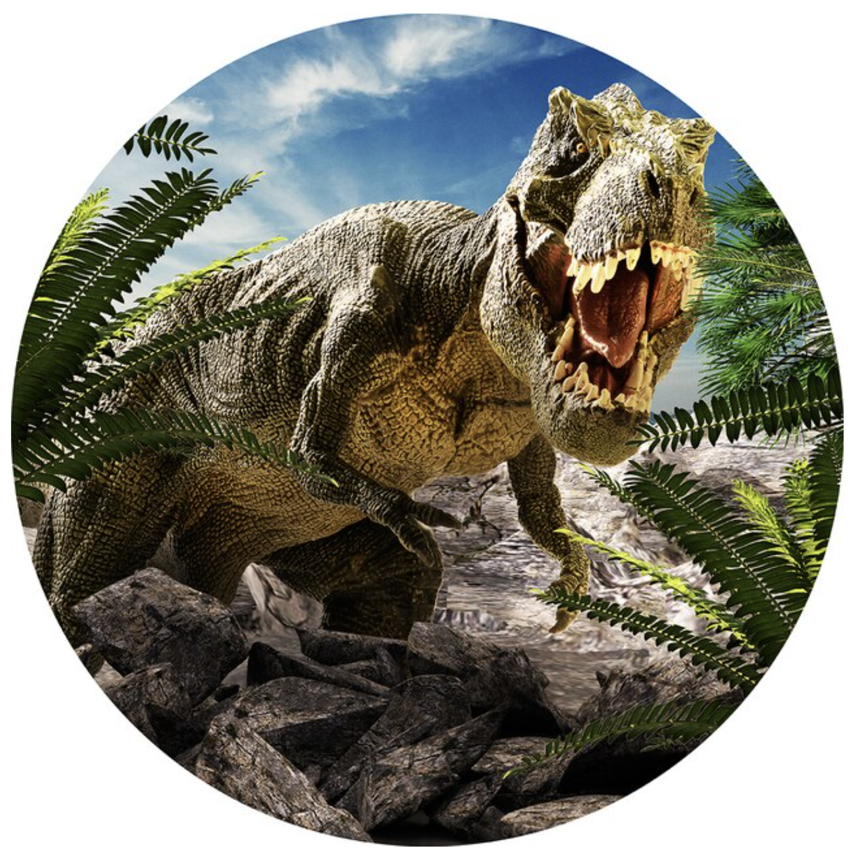 DINOSAUR T-REX DINO JUNGLE PARTY ROUND BIRTHDAY BANNER BACKDROP