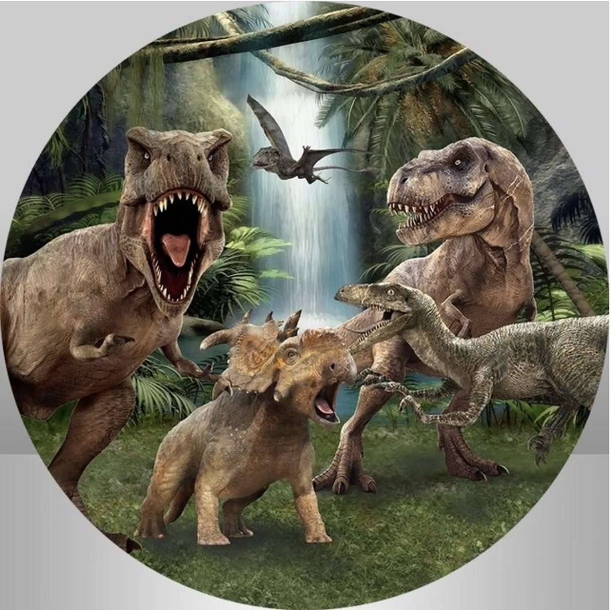 PARK DINOSAUR T-REX STEGOSAURUS TRICERATOPS PARTY ROUND BIRTHDAY PERSONALISED BANNER