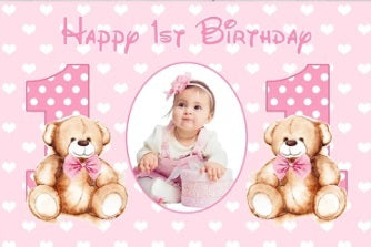 PINK TEDDY BEAR FIRST 1ST PERSONALISED BIRTHDAY PARTY BANNER BACKDROP DECORATION