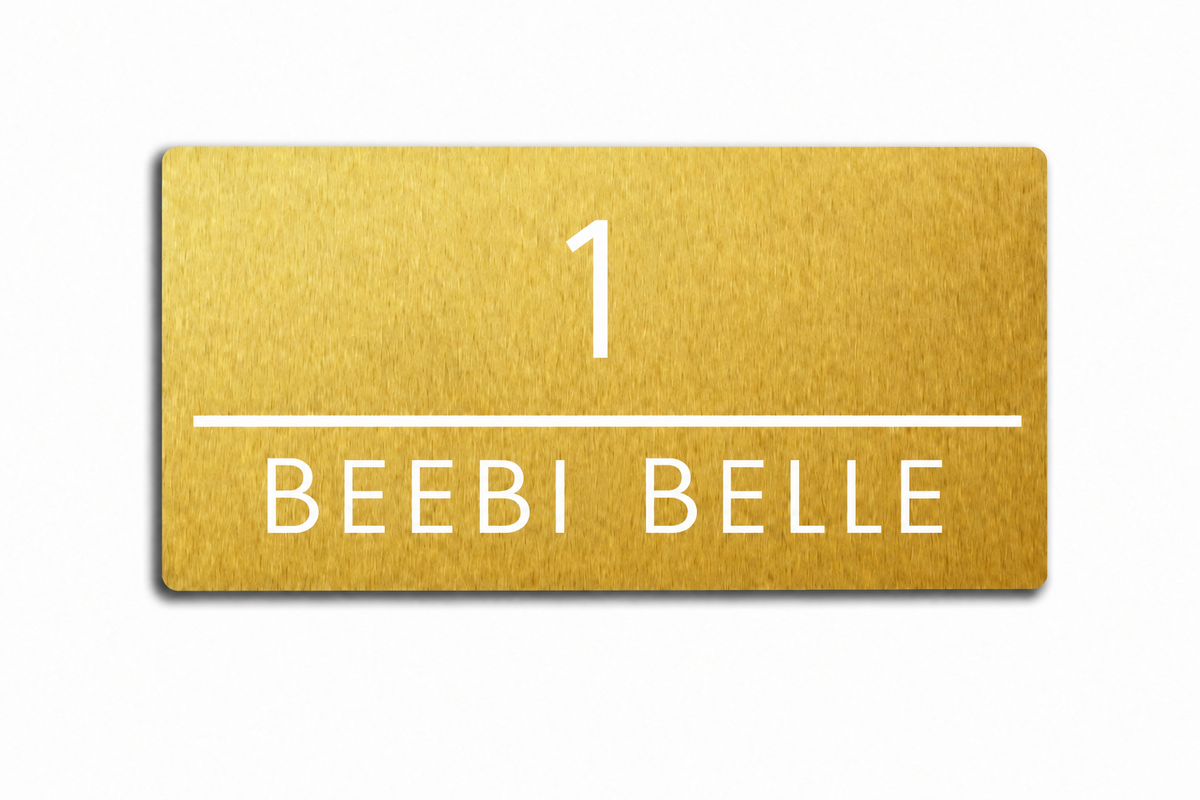 Custom Gold Acrylic House Sign | Personalised Address Plaque