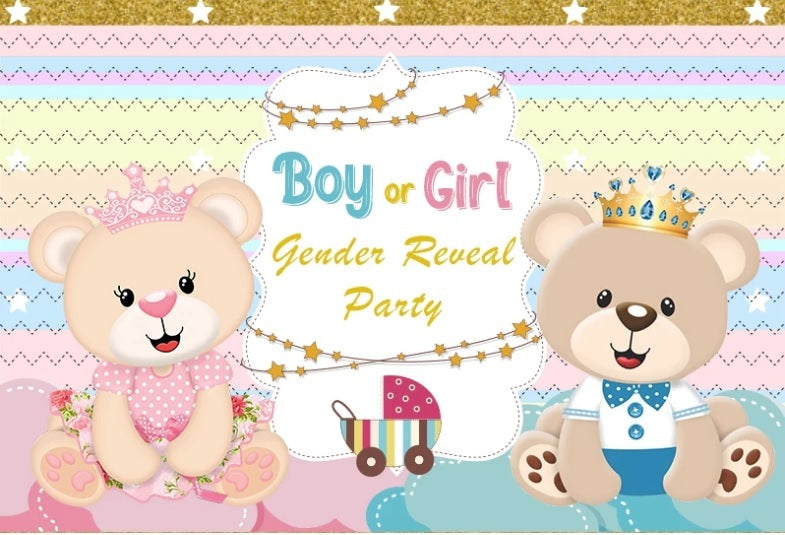 GENDER REVEAL BOY GIRL TEDDY BEAR PERSONALISED PARTY BANNER BACKDROP DECORATION