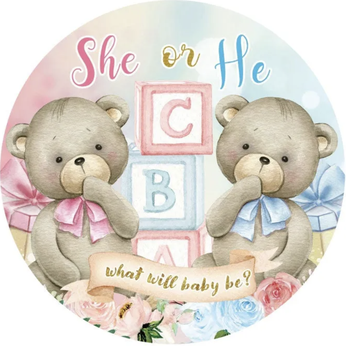 BABY SHOWER GENDER REVEAL TEDDY TEDDYBEARS ABC PARTY ROUND BIRTHDAY BANNER BACKDROP
