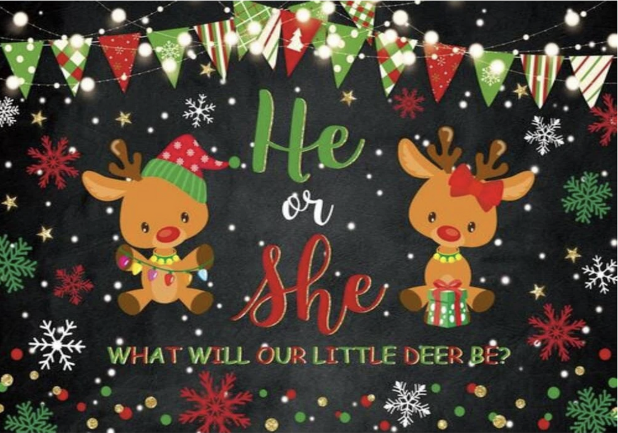 BABY SHOWER GENDER REVEAL CHRISTMAS DEER SNOW BIRTHDAY PARTY BANNER BACKDROP