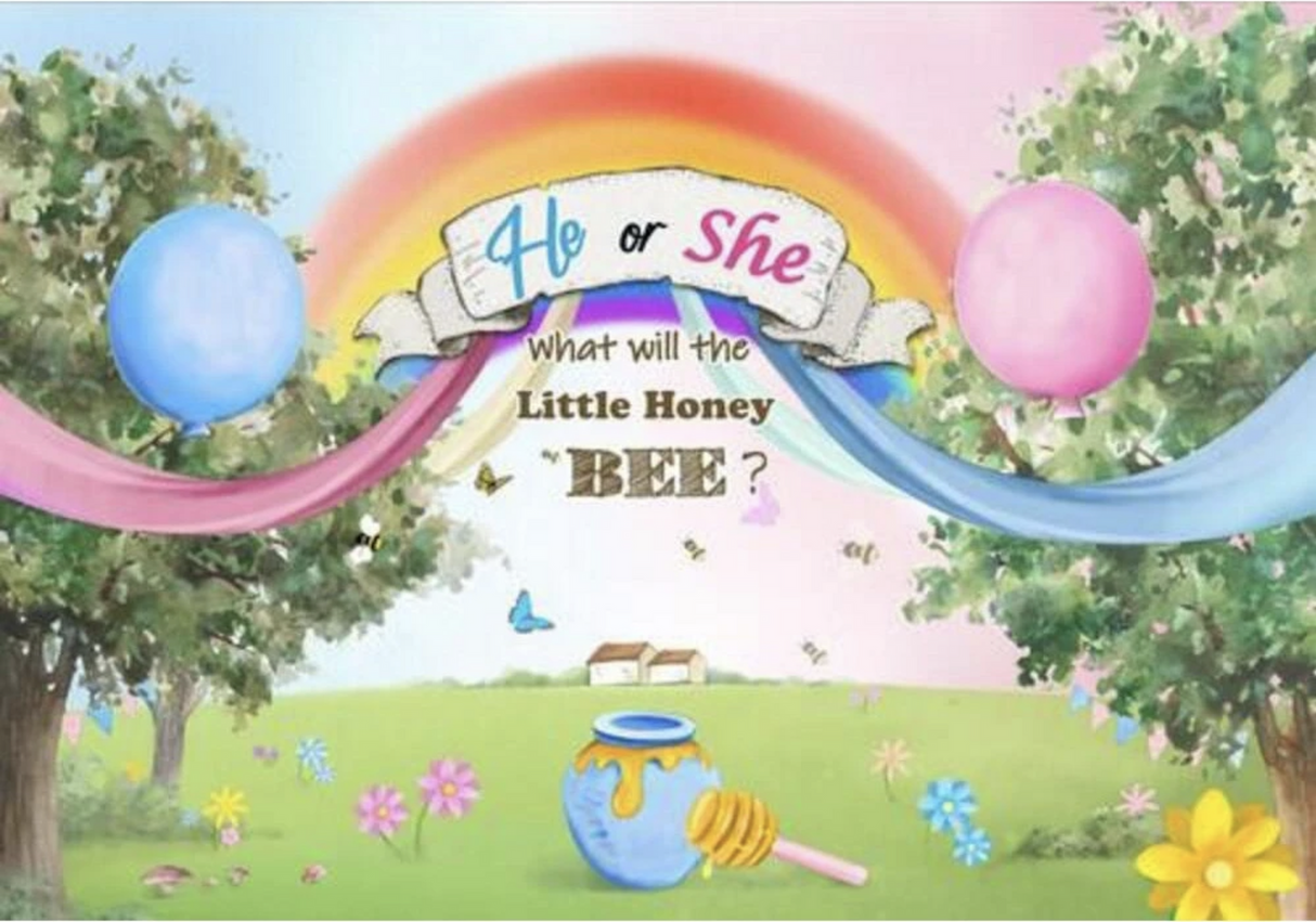 BABY SHOWER GENDER REVEAL HONEY BEE RAINBOW BIRTHDAY PARTY BANNER BACKDROP