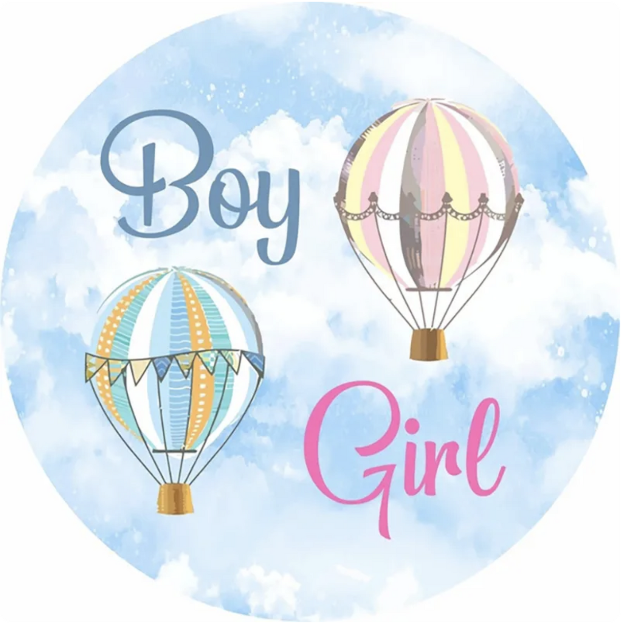 GENDER REVEAL BABY SHOWER BOY GIRL AIR BALLOONS CLOUDS PARTY ROUND BANNER BACKDROP