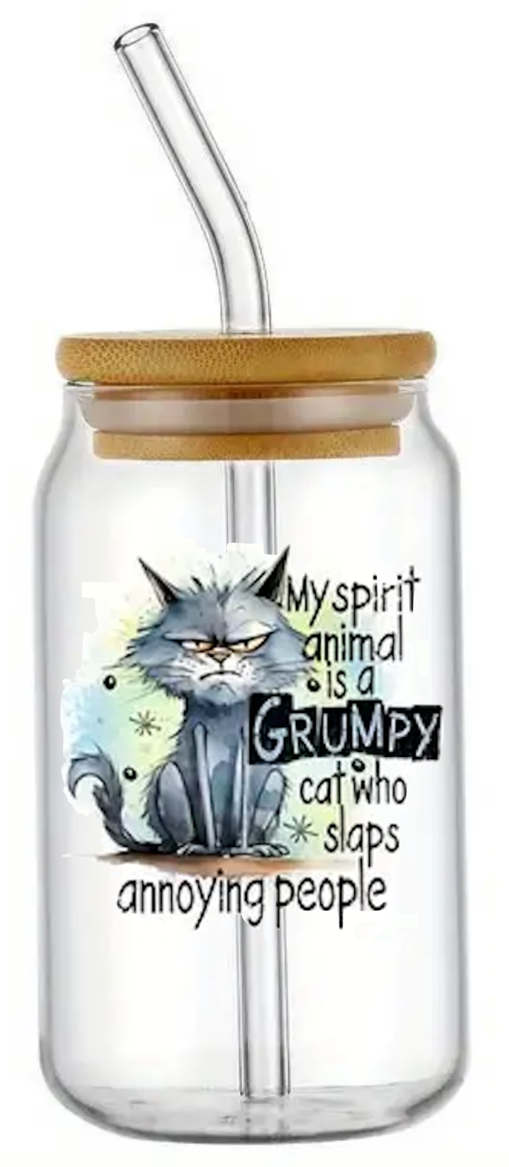 GRUMPY CAT ANNOYING PEOPLE GLASS JAR TUMBLER CUP WITH LID, STRAW AND BRUSH