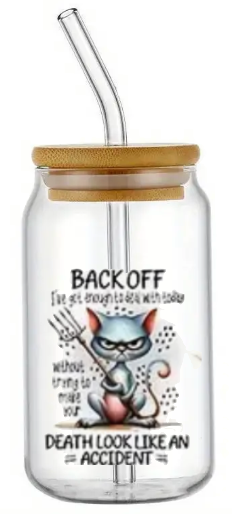 CAT DEATH LOOKS LIKE AN ACCIDENT GLASS JAR TUMBLER CUP WITH LID, STRAW AND BRUSH