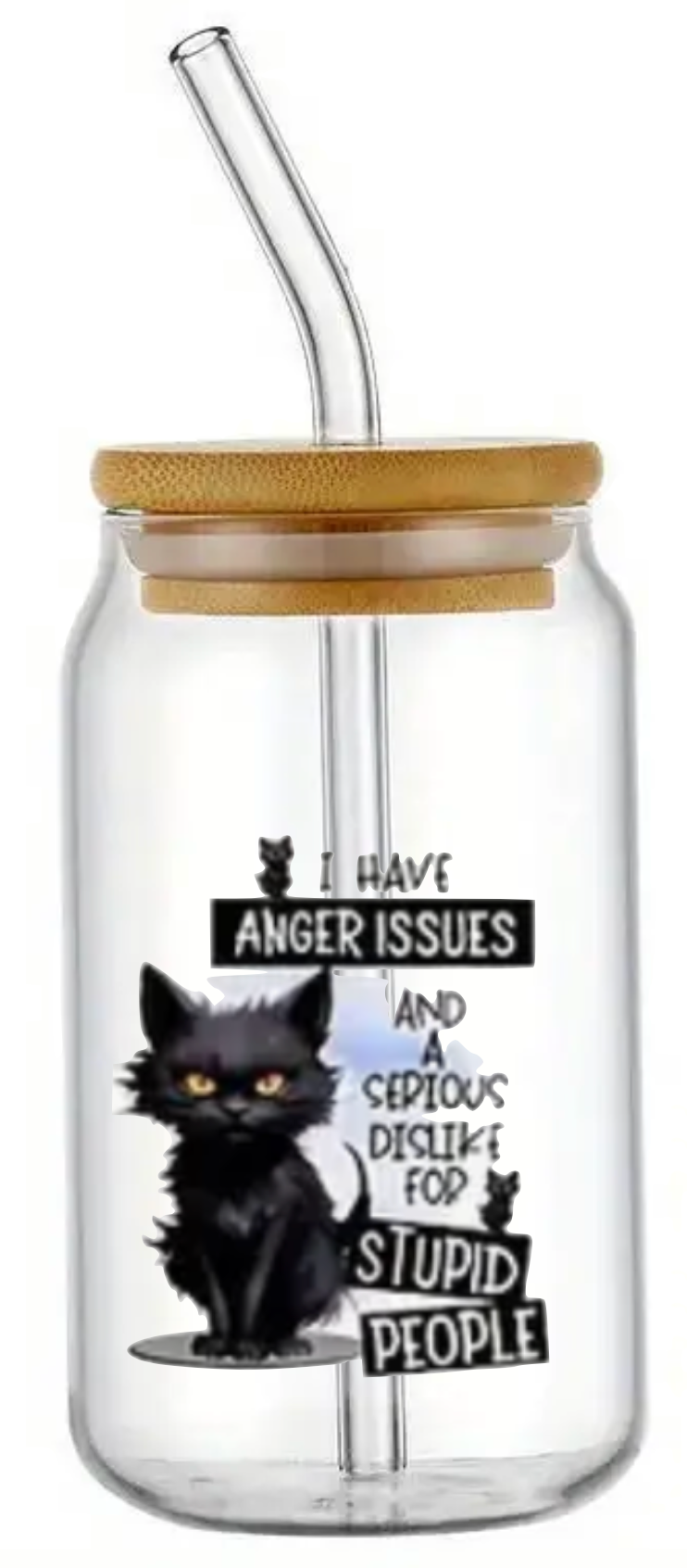 CAT ANGER ISSUES STUPID PEOPLE GLASS JAR TUMBLER CUP WITH LID, STRAW AND BRUSH