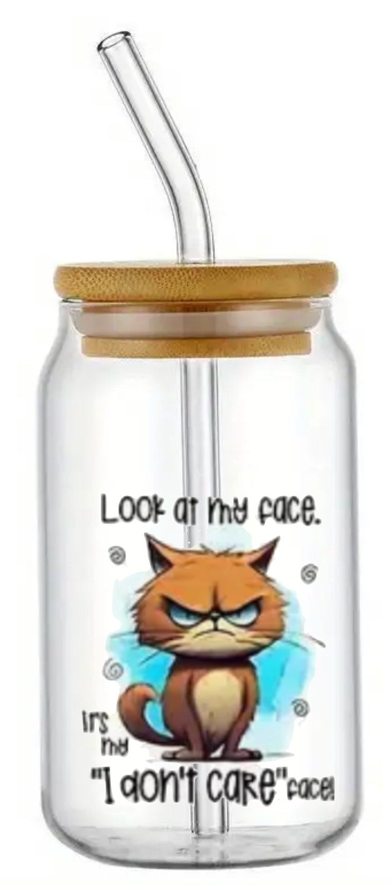 CAT I DON'T CARE GLASS JAR TUMBLER CUP WITH LID, STRAW AND BRUSH