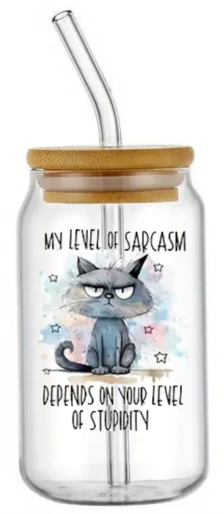 CAT SARCASM AND STUPIDITY GLASS JAR TUMBLER CUP WITH LID, STRAW AND BRUSH