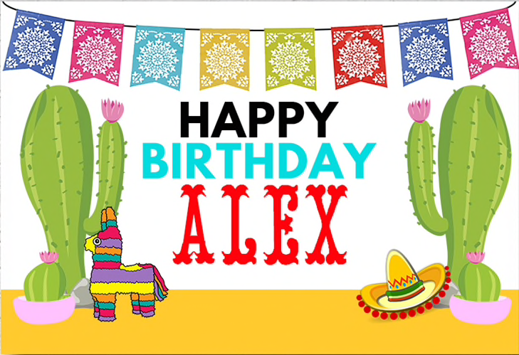 MEXICAN CACTUS FIESTA SPANISH PERSONALISED BIRTHDAY PARTY BANNER BACKDROP