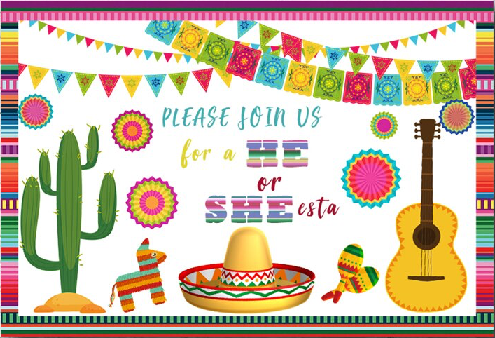 MEXICAN CACTUS SPANISH FIESTA PERSONALISED BIRTHDAY PARTY BANNER BACKDROP
