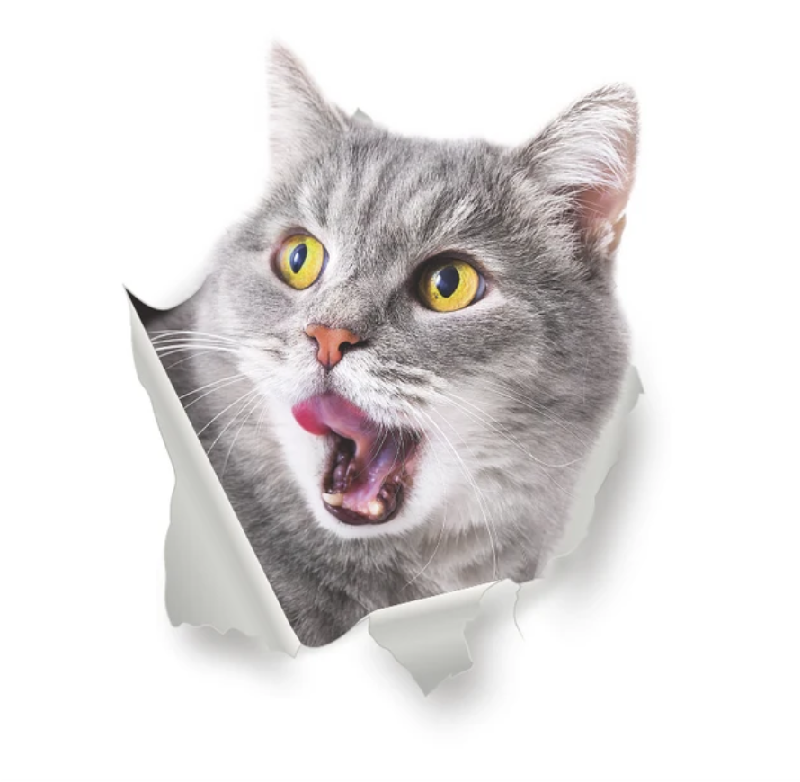 KITTY CATS ANIMALS WALL BREAK 3D WALL STICKER MURAL ART Decal