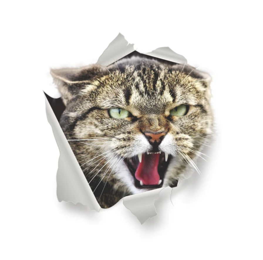ANGRY TIGER CAT ANIMALS WALL BREAK 3D WALL STICKER MURAL ART Decal