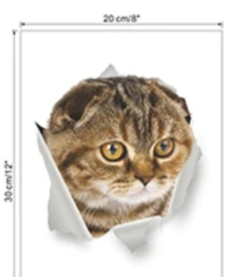 SCARED CAT KITTY ANIMALS WALL BREAK 3D WALL STICKER MURAL ART Decal