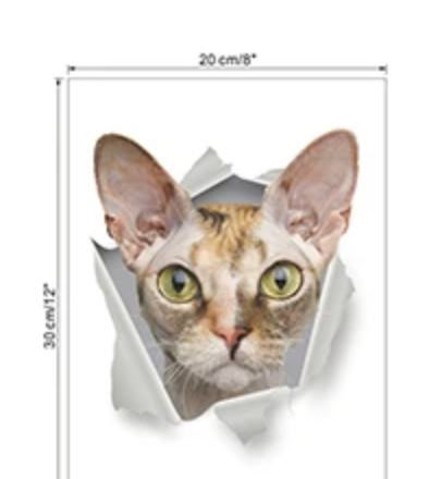 SPHYNX CAT KITTY ANIMALS WALL BREAK 3D WALL STICKER MURAL ART Decal