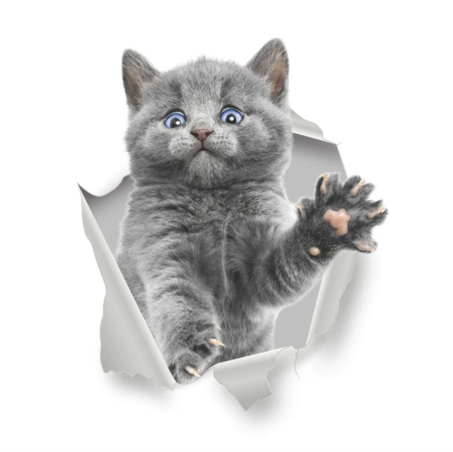 POUNCING CAT KITTY ANIMALS WALL BREAK 3D WALL STICKER MURAL ART Decal