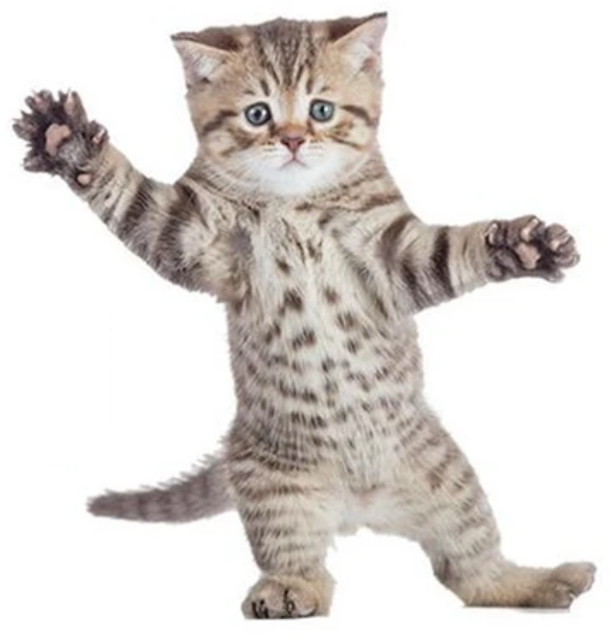 DANCING KITTY CAT KITTEN STRIPED ANIMALS PAWS 3D WALL STICKER MURAL ART Decal