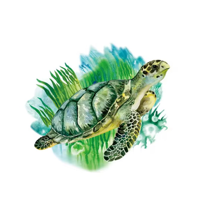 SEA TURTLE OCEAN CUTE ANIMALS GREEN GRASS 3D WALL STICKER MURAL ART Decal