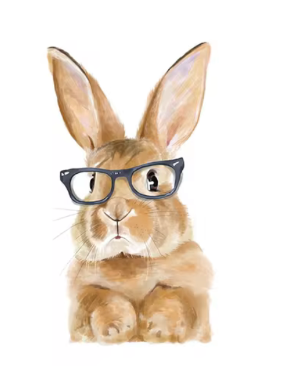 CUTE BUNNY RABBIT WITH GLASSES ANIMALS 3D WALL STICKER MURAL ART Decal