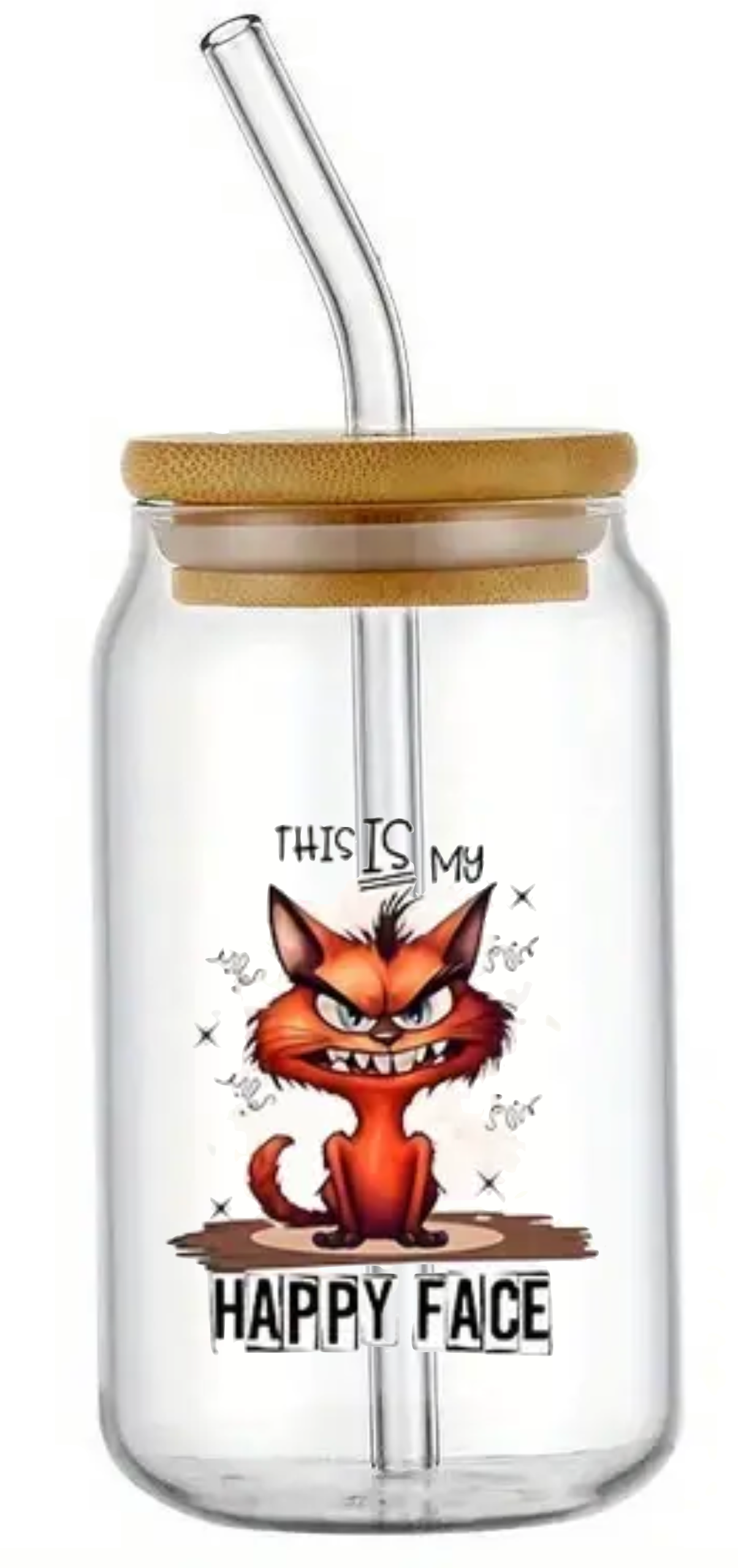 CAT HAPPY FACE GLASS JAR TUMBLER CUP WITH LID, STRAW AND BRUSH