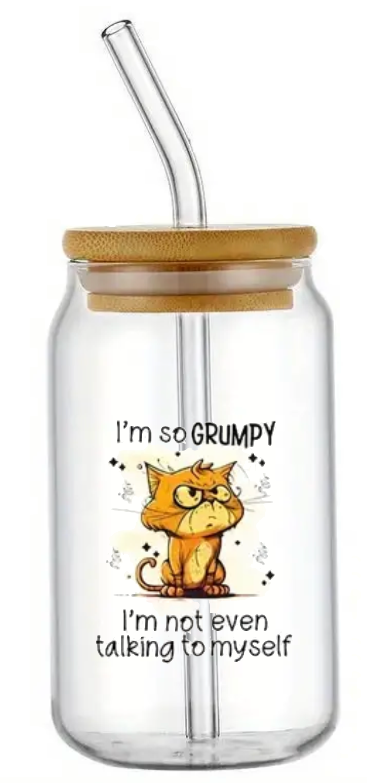 GRUMPY CAT GLASS JAR TUMBLER CUP WITH LID, STRAW AND BRUSH