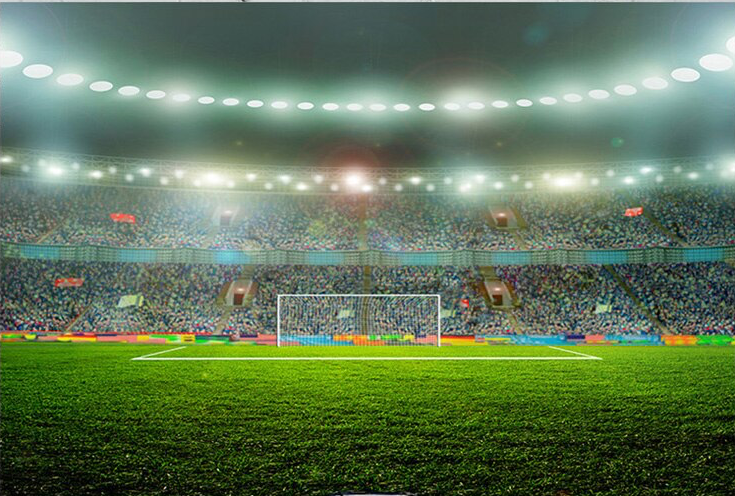 SPORT SOCCER FOOTBALL STADIUM BIRTHDAY PARTY SUPPLIES BANNER BACKDROP DECORATION