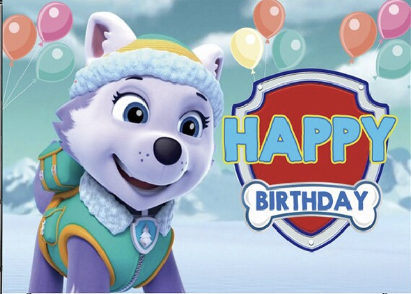 PAW PATROL EVEREST BALLOONS SNOW FIELD PERSONALISED BIRTHDAY PARTY