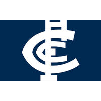AFL CARLTON BLUES PERSONALISED BIRTHDAY PARTY SUPPLIES BANNER BACKDROP DECORATION