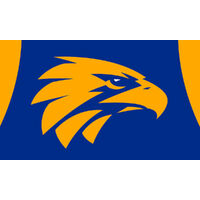 AFL WEST COAST EAGLES PERSONALISED BIRTHDAY PARTY SUPPLIES BANNER BACKDROP DECORATION