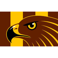 AFL HAWTHORN HAWKS PERSONALISED BIRTHDAY PARTY SUPPLIES BANNER BACKDROP DECORATION