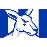 AFL NORTH MELBOURNE KANGAROOS PERSONALISED BIRTHDAY PARTY SUPPLIES BANNER BACKDROP DECORATION