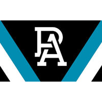 AFL PORT ADELAIDE PERSONALISED BIRTHDAY PARTY SUPPLIES BANNER BACKDROP DECORATION