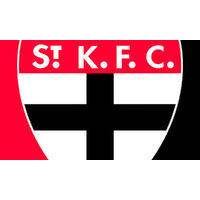 AFL ST KILDA SAINTS PERSONALISED BIRTHDAY PARTY SUPPLIES BANNER BACKDROP DECORATION