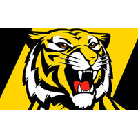 AFL RICHMOND TIGERS PERSONALISED BIRTHDAY PARTY SUPPLIES BANNER BACKDROP DECORATION