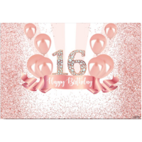 16TH SIXTEENTH PINK DIAMONDS BIRTHDAY PARTY SUPPLIES BANNER BACKDROP DECORATION