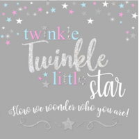 TWINKLE LITTLE STAR GREY BABY SHOWER PARTY SUPPLIES BANNER BACKDROP DECORATION