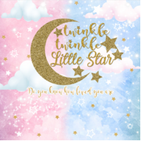 TWINKLE LITTLE STAR BLUE PINK BABY SHOWER PARTY BANNER BACKDROP BACKGROUND