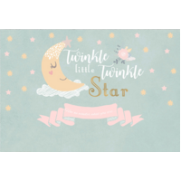 TWINKLE LITTLE STAR MOON BABY SHOWER PARTY SUPPLIES BANNER BACKDROP DECORATION